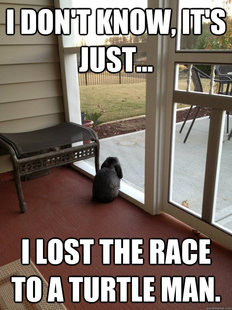 Facing Reality Bunny