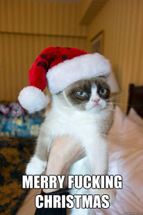 Christmas Grumpy Cat