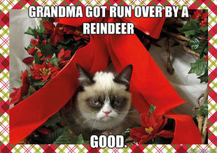 A Grumpy Cat Christmas