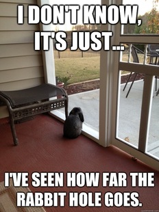 Facing Reality Bunny