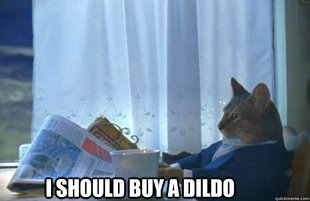 Sophisticated Cat is broke