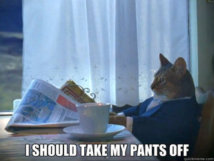 The One Percent Cat