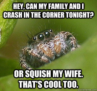 Misunderstood Spider
