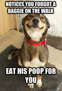 Good Dog Greg