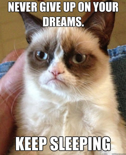 Grumpy Cat