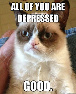 Grumpy cat