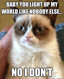 Grumpy cat