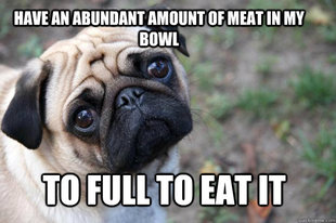 First World Dog Problems