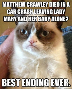 Grumpy cat