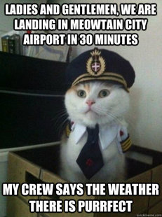 Captain kitteh