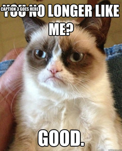 Grumpy cat