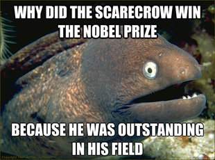 Bad Joke Eel
