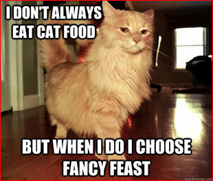 Fancy Cat