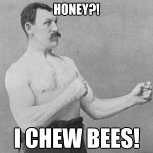 overly manly man