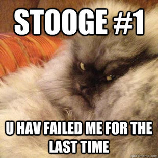 Angriest Cat
