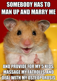 Rationalization Hamster