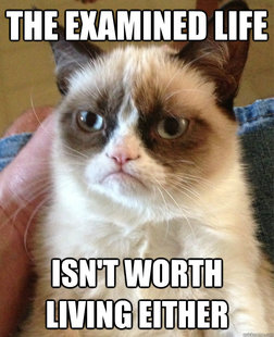 Grumpy Cat