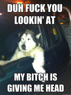 Mean Dog