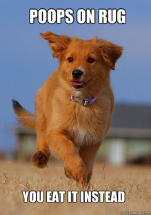 Ridiculously Photogenic Puppy