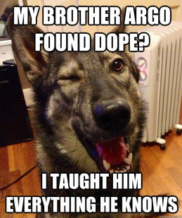 Pickup Pup