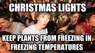 Sudden Clarity Clarence