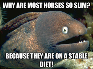 Bad Joke Eel