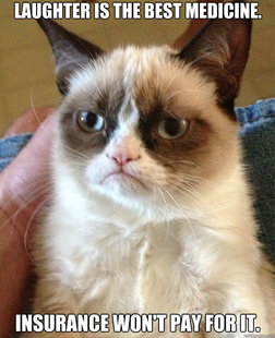 Grumpy Cat
