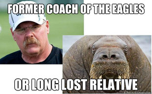Andy ReidWalrus