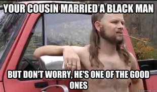 Almost Politically Correct Redneck