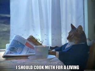 morning realization newspaper cat meme