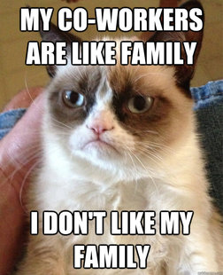 Grumpy cat