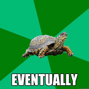 Torrenting Turtle