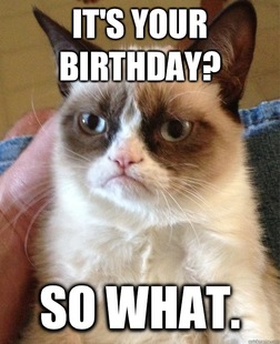 Grumpy cat