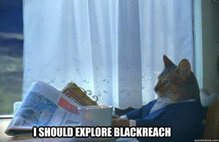 Sophisticated Cat is broke