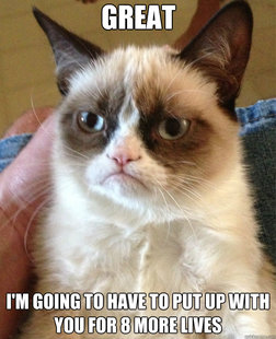 Grumpy Cat