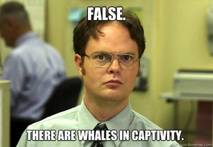 Dwight