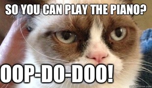 Grumpy cat