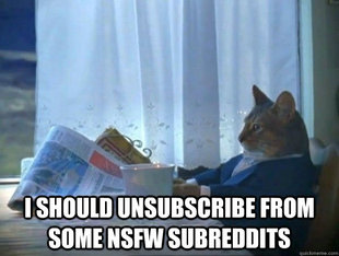 morning realization newspaper cat meme