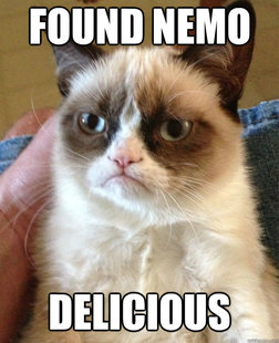 Grumpy Cat