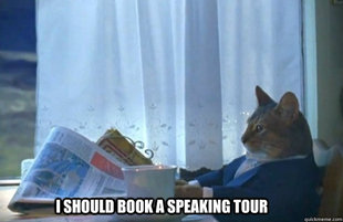 Sophisticated Cat is broke