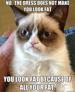 Grumpy Cat