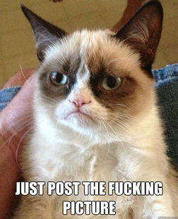 Grumpy Cat