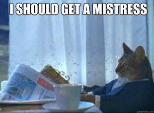I should buy a boat cat