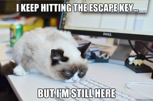 Grumpy Cat Mouse