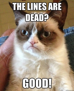 Grumpy cat