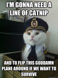 Captain kitteh