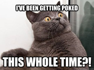 conspiracy cat