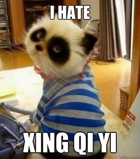 Panda Cat