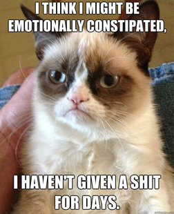 Grumpy Cat