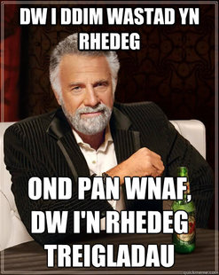 The Most Interesting Man In The World